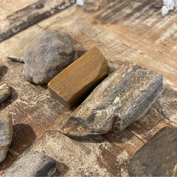 10pcs Petrified Wood Small Pieces 1 1/4” Long Rocks - Picture 8 of 16